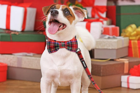 Christmas Buffalo Dog Collar and Leash Set, Classic Plaid Collar with Removable Bowtie and Matching Leash for Large Dogs